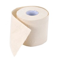 3ply standing toilet brush holder and colored bamboo toilet paper